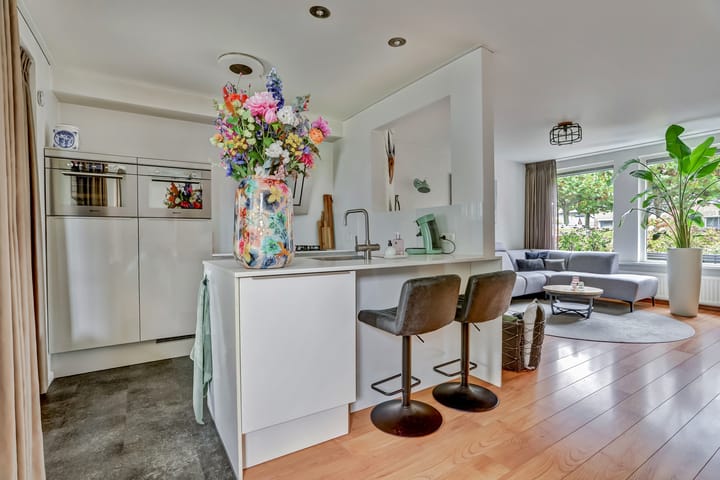 Foto 7 van Wit Hollandven 27