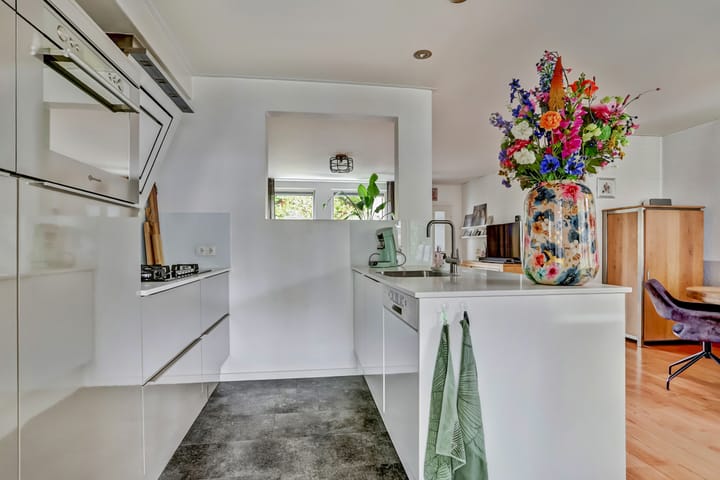 Foto 8 van Wit Hollandven 27