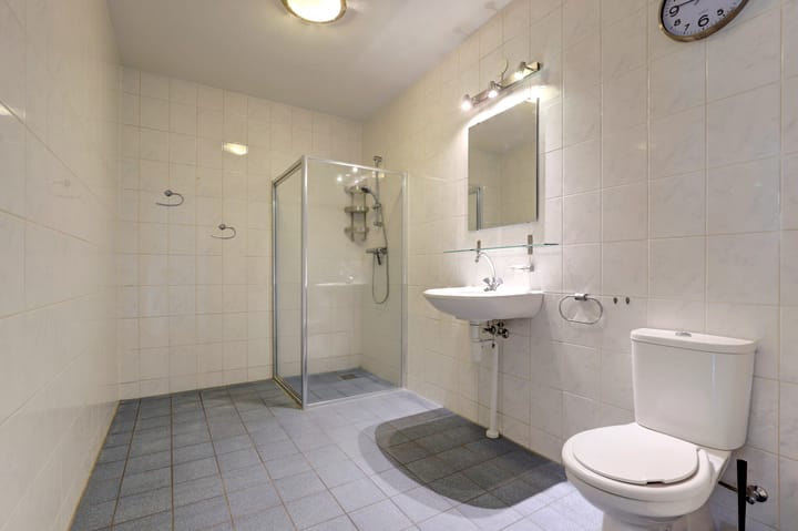 Photo 20 of Keizersmantel 39