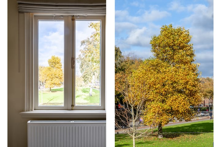 Foto 24 van Julianapark 10