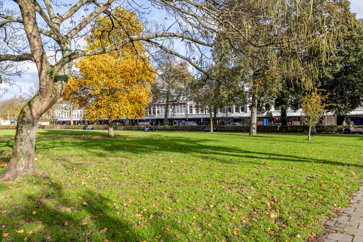 Foto 32 van Julianapark 10