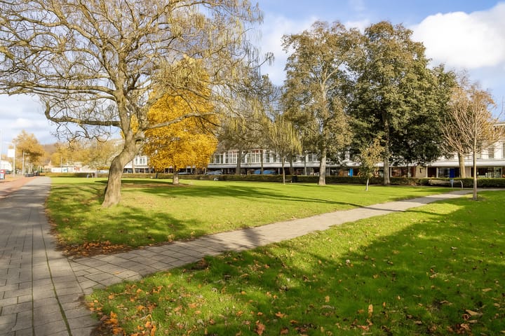 Foto 33 van Julianapark 10