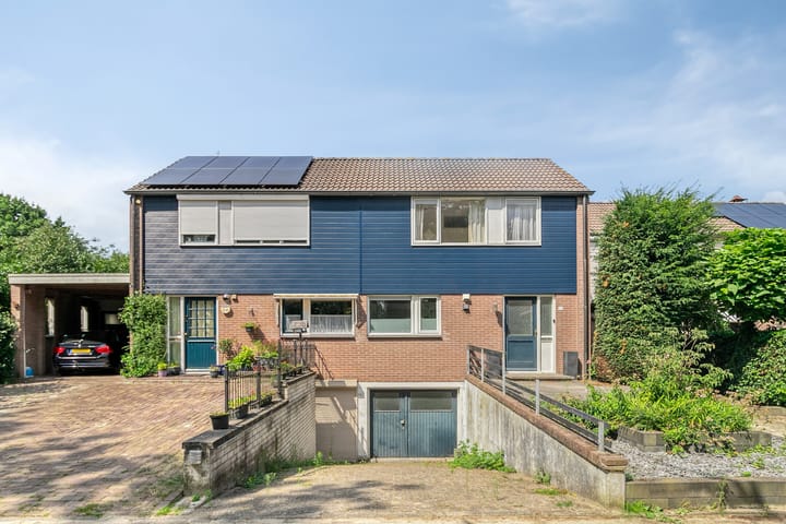 Photo 2 of Tormentil 22