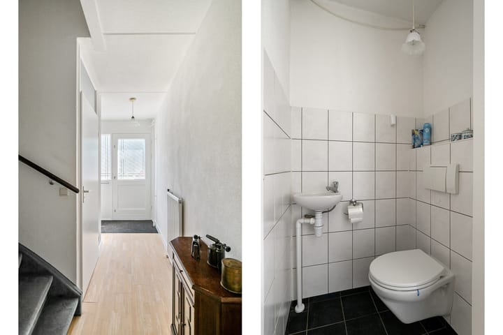 Photo 11 of Tormentil 22