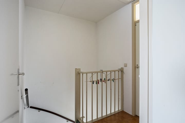 Photo 12 of Tormentil 22