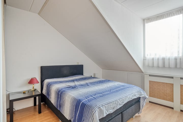 Photo 13 of Tormentil 22