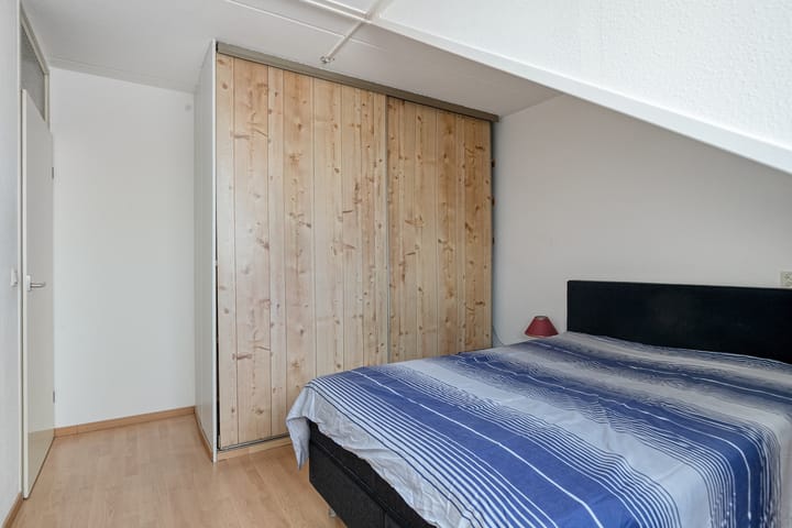 Photo 14 of Tormentil 22