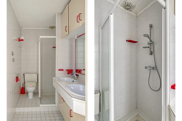 Photo 15 of Tormentil 22