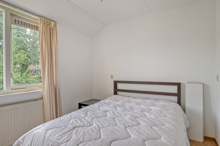 Photo 16 of Tormentil 22