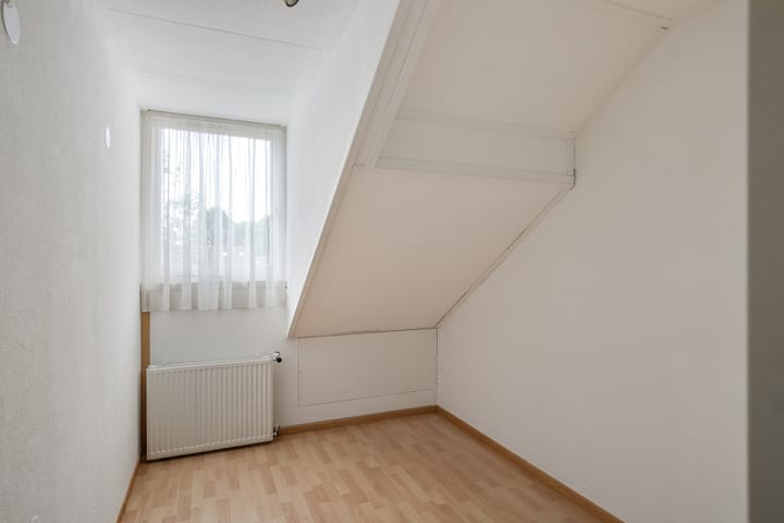 Photo 18 of Tormentil 22