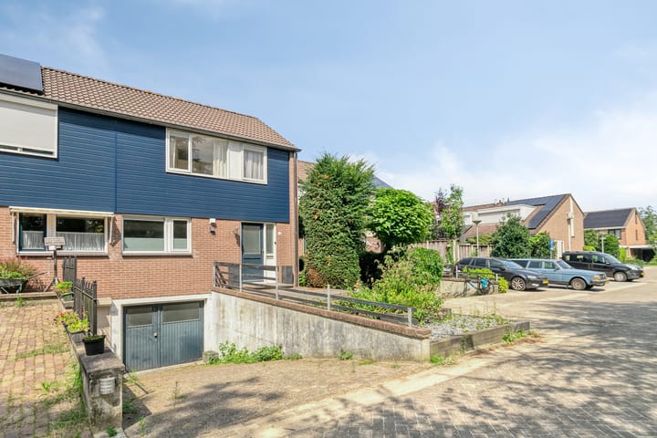 Photo 21 of Tormentil 22