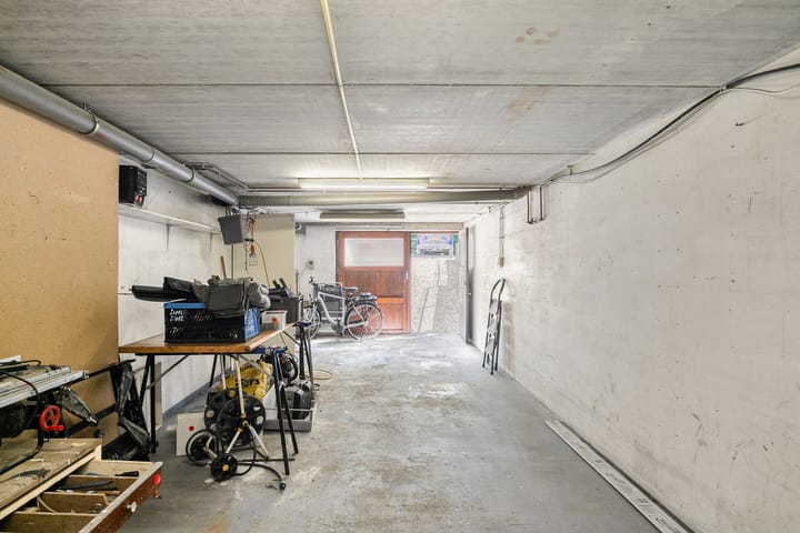 Photo 22 of Tormentil 22