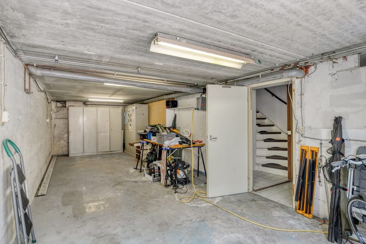 Photo 23 of Tormentil 22