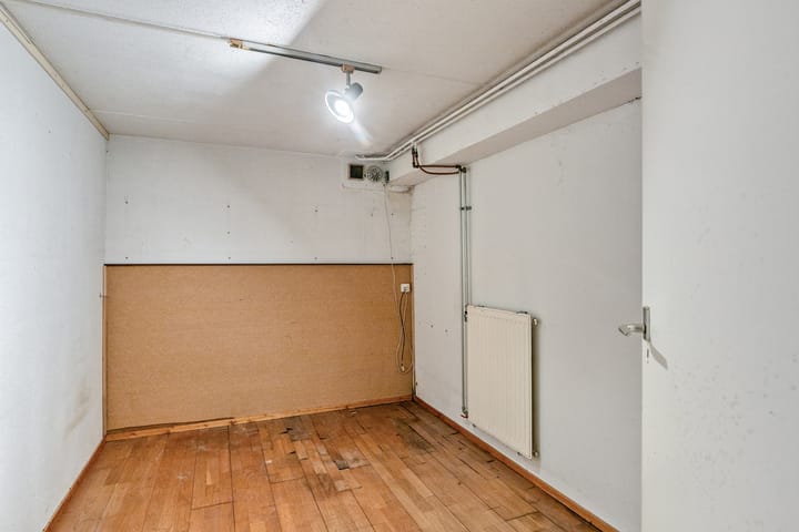 Photo 24 of Tormentil 22