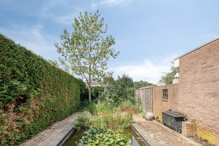 Photo 27 of Tormentil 22