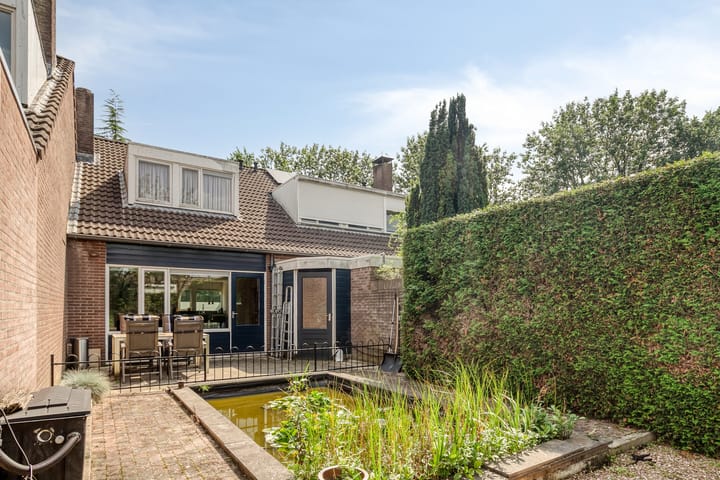 Photo 28 of Tormentil 22