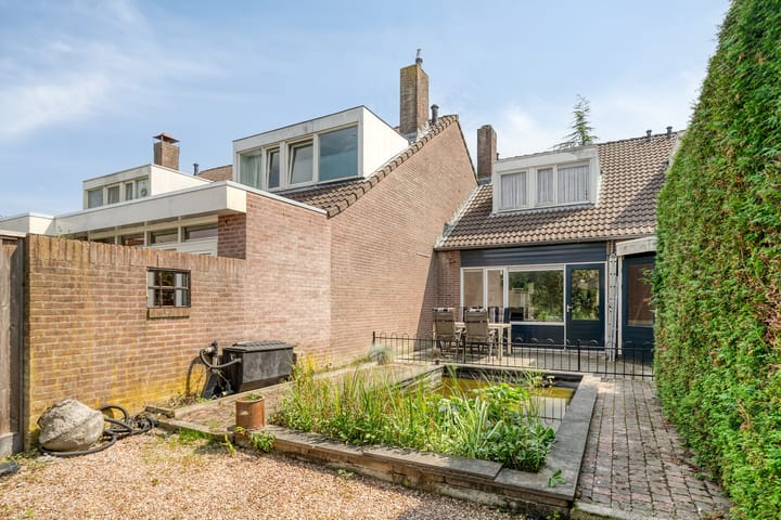 Photo 29 of Tormentil 22