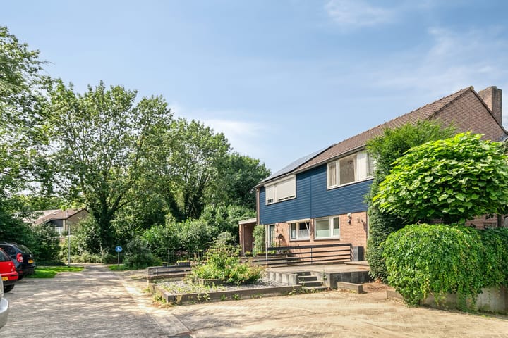 Photo 30 of Tormentil 22