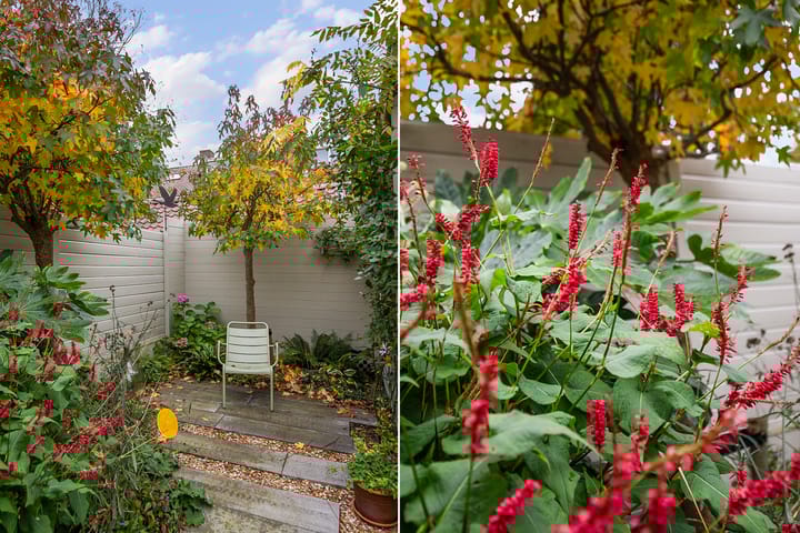 Foto 43 van Rozenstraat 31