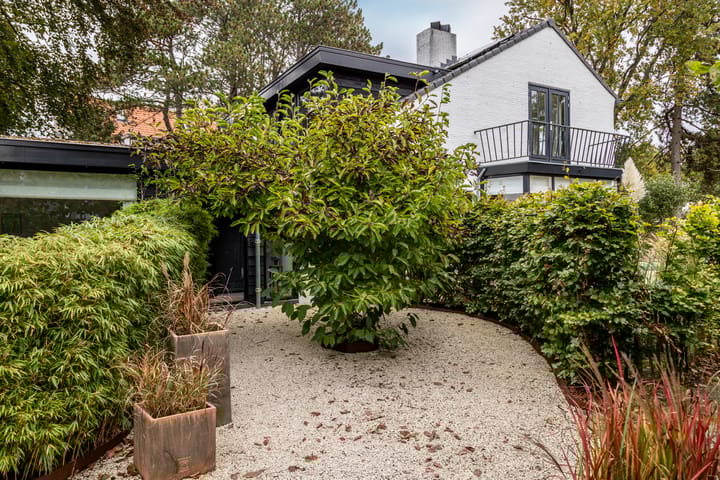 Foto 73 van Duinwindelaan 1