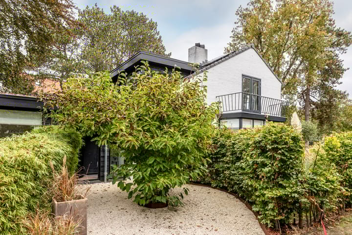 Foto 74 van Duinwindelaan 1