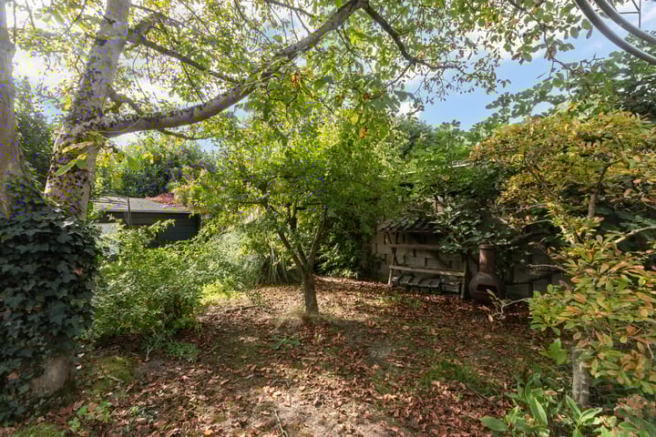 Foto 32 van Noordendijk 795