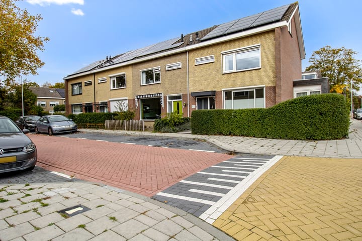 Foto 2 van Duinroos 4