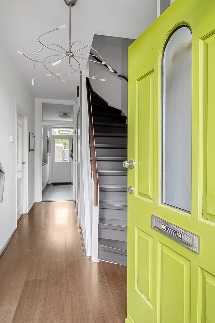 Foto 4 van Duinroos 4