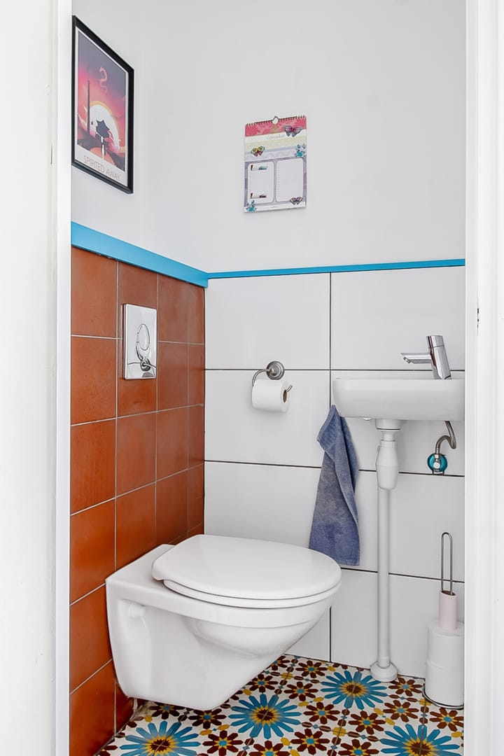 Foto 5 van Duinroos 4