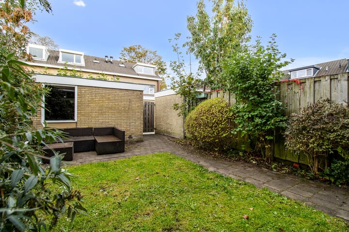 Foto 42 van Duinroos 4