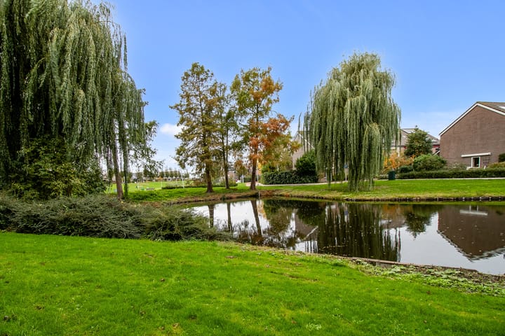 Foto 44 van Duinroos 4