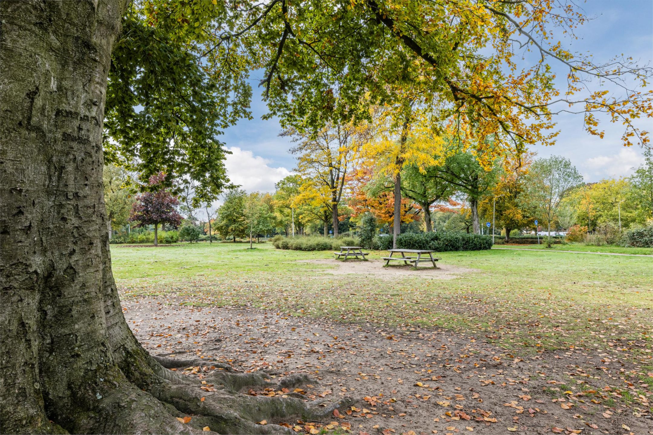 Foto 36 van Tijgerstraat 1