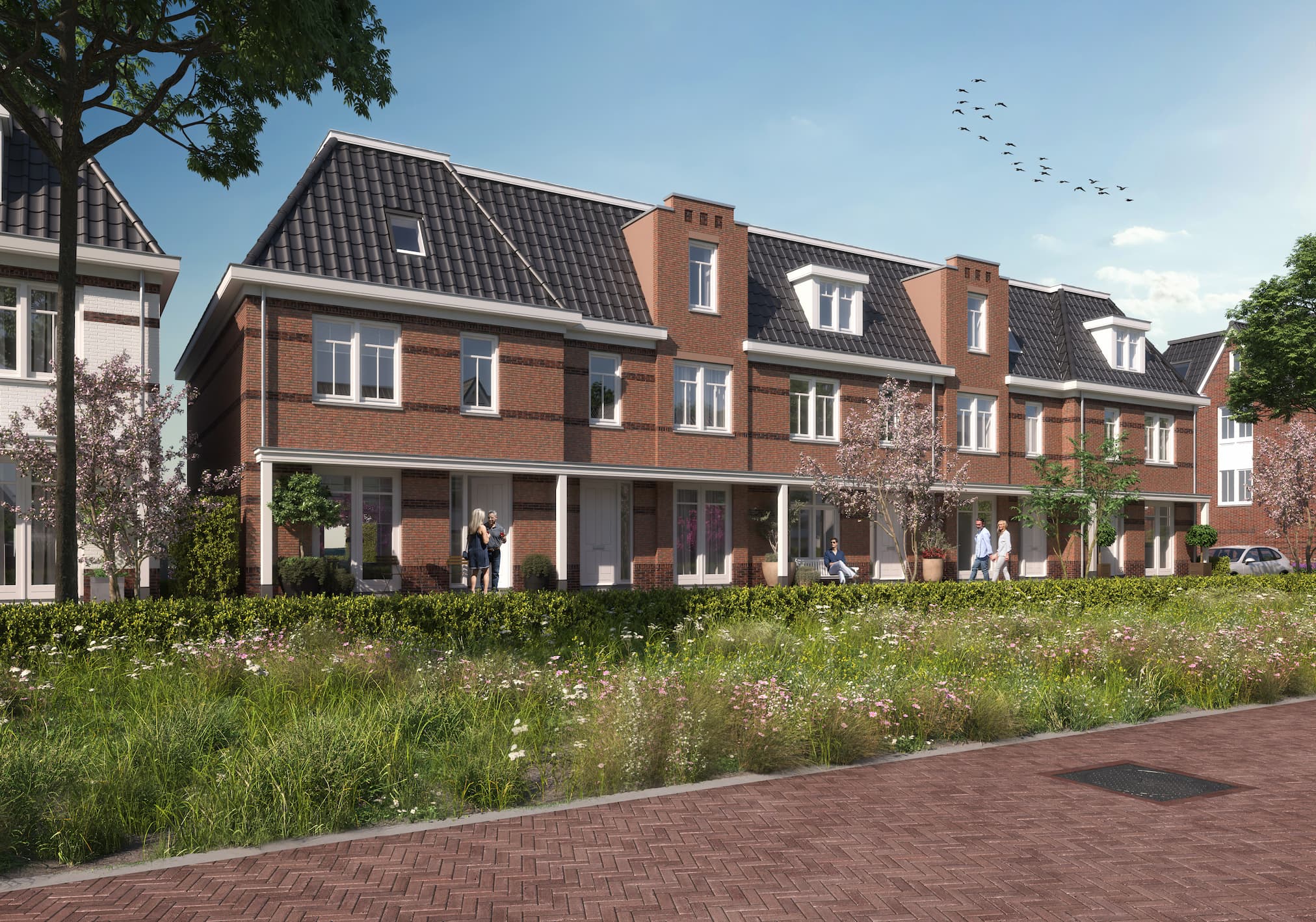 Foto 8 van Waterjuffers fase 2