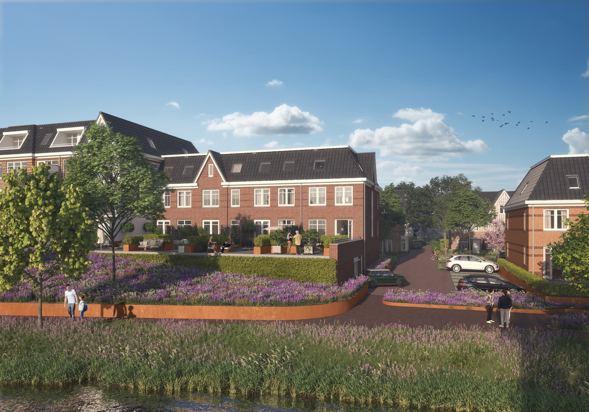 Foto 11 van Waterjuffers fase 2