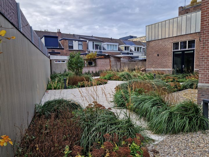 Foto 14 van Singel 443-M