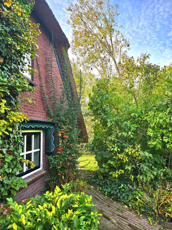 Foto 12 van Weelsedijk 26