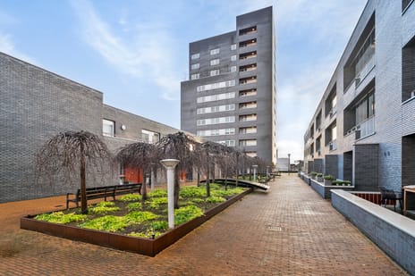 Pieter Vreedeplein thumbnail