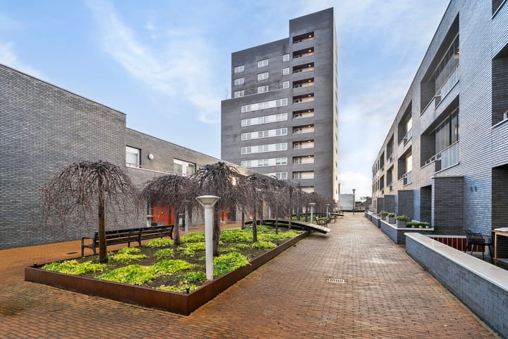 Pieter Vreedeplein 110