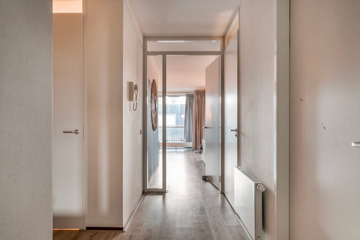 Photo 15 of Pieter Vreedeplein 110