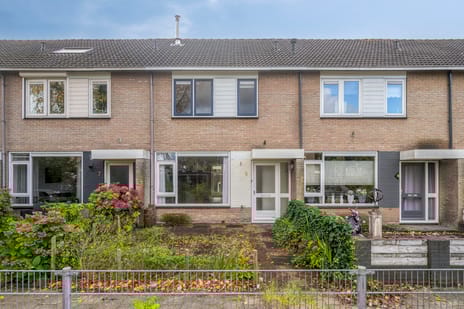 undefined main image