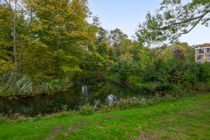 Foto 29 van Jan Steenstraat 13