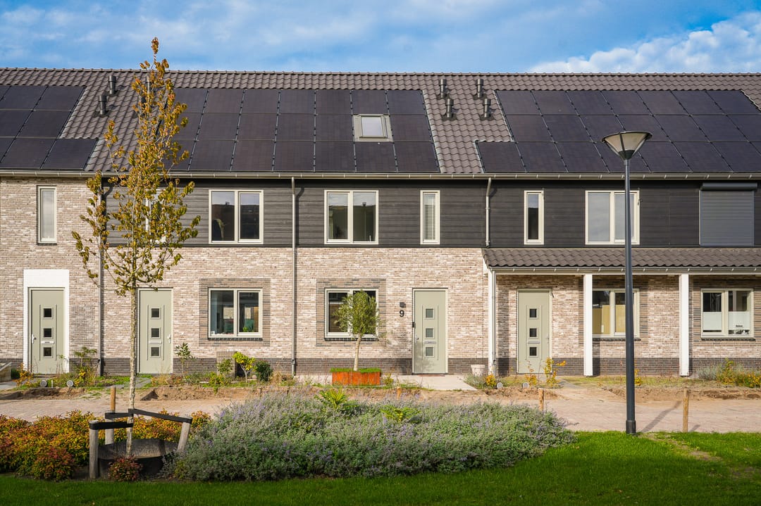 Photo 1 of Boerenzwaluw 9