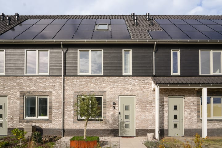 Photo 5 of Boerenzwaluw 9