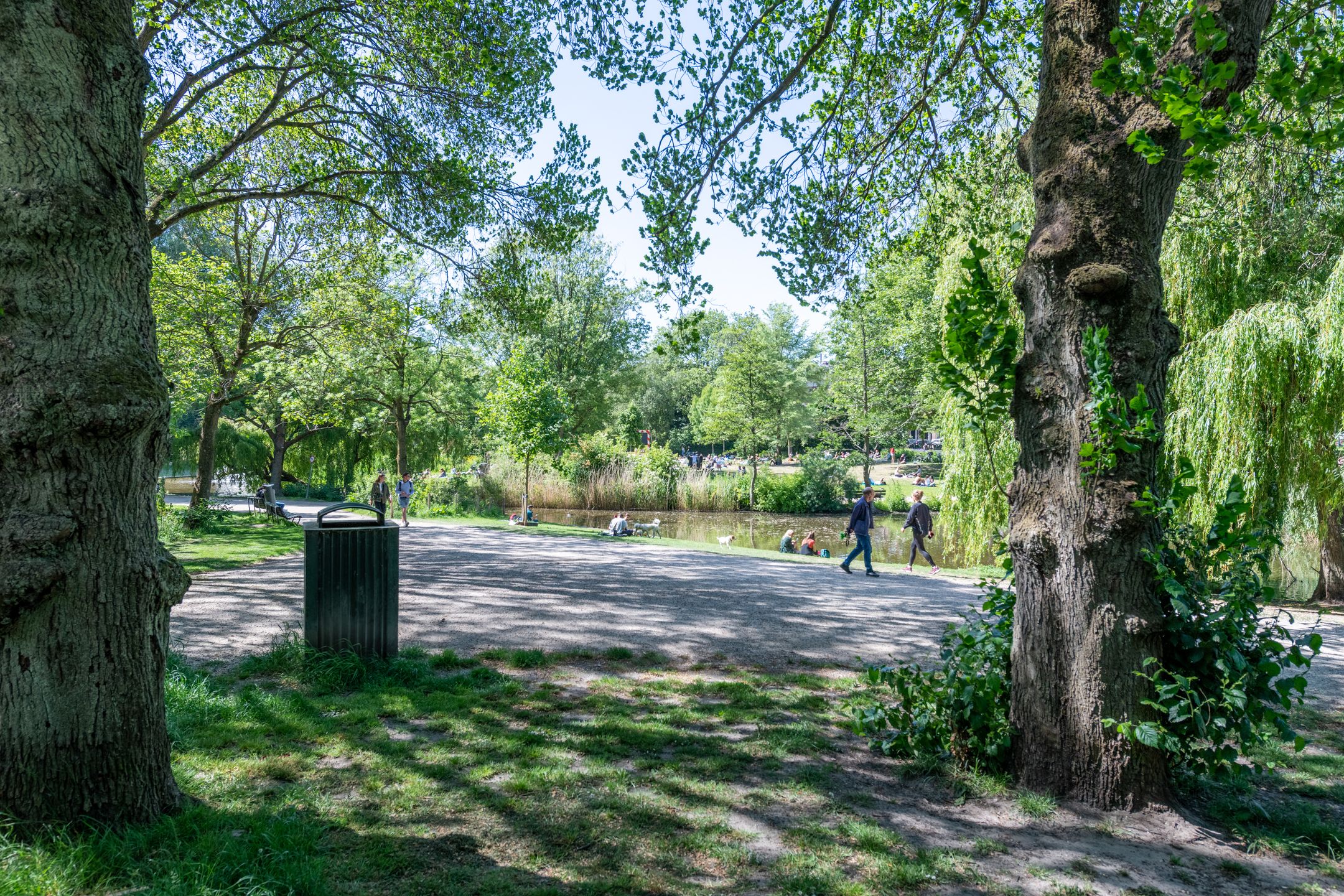 Foto 42 van Henriëtte Ronnerplein 9-H