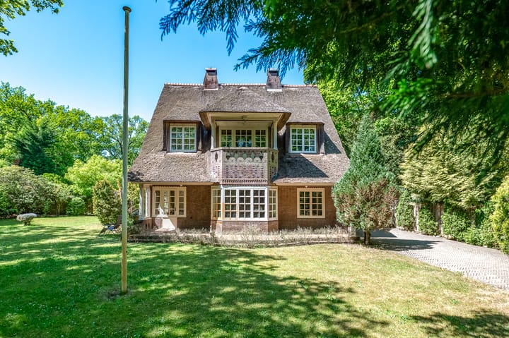 Foto 2 van Stoeplaan 23