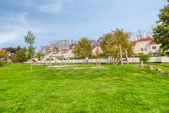 Photo 4 of Bosleeuwerik 50