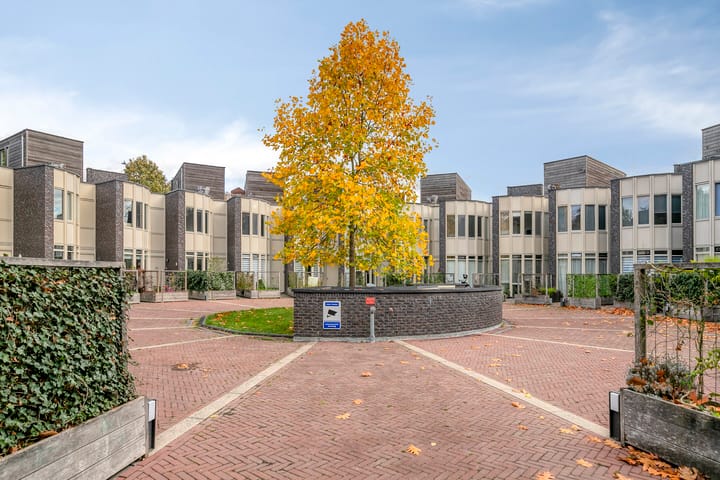 Foto 6 van Bosleeuwerik 50