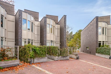 Bosleeuwerik 50 secondary image