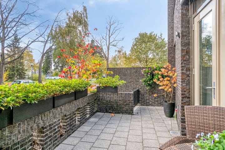 Foto 11 van Bosleeuwerik 50