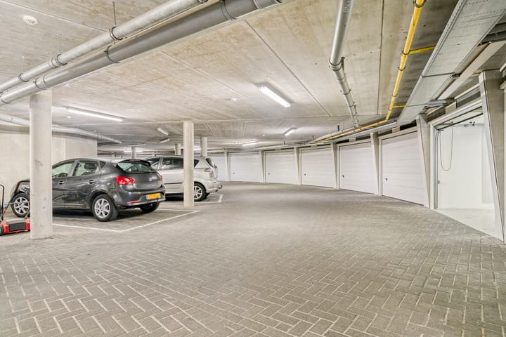 Foto 28 van Bosleeuwerik 50